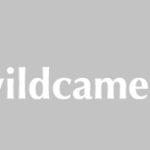 Wildcamera